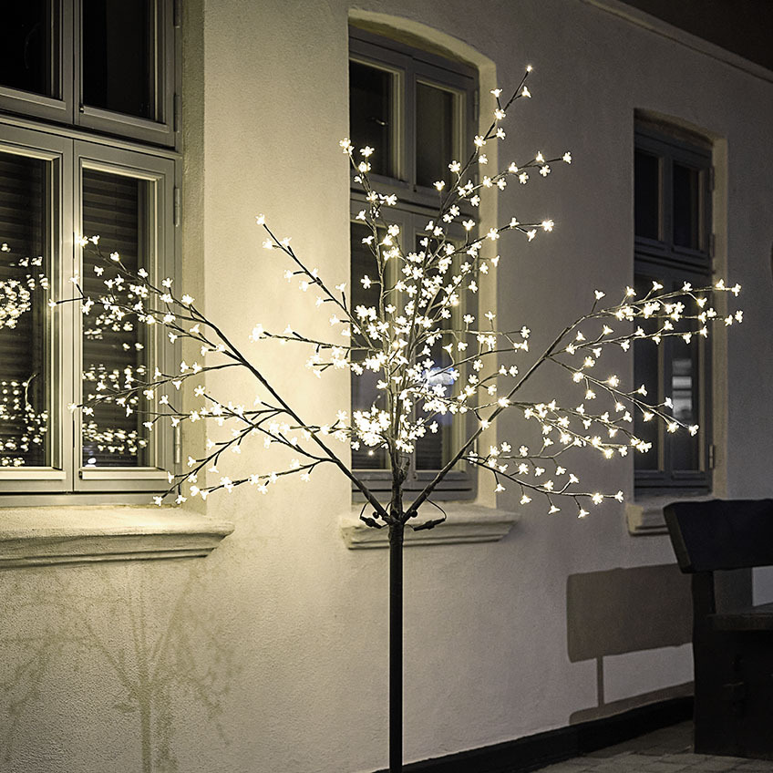 Albero con luci LED alto che illumina l'esterno di una casa