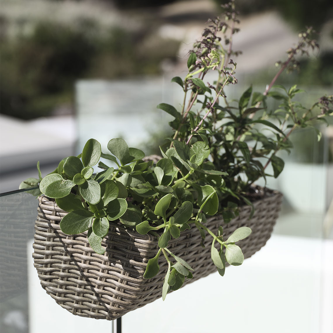 Fioriera da balcone STEINTROST Vaso da balcone in polyrattan sospeso su un balcone con piante