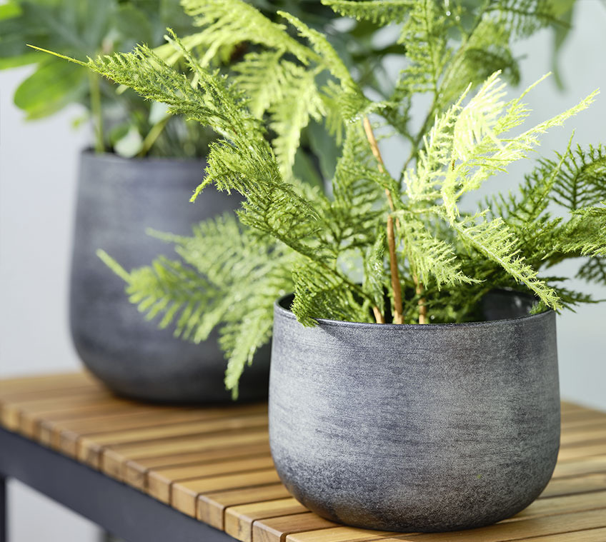 Garden bench with a fern in a metal garden planter 